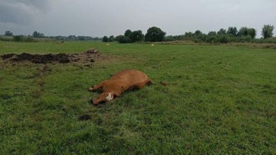 Хронологія подій у Харкові та Харківській області під час російсько-української війни. 4 серпня 2022 року