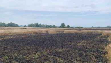 Хронологія подій у Сумах та Сумській області під час російсько-української війни: 10-11 серпня 2022 року