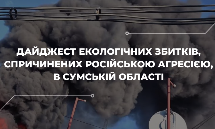 Удари по нафтобазі, аміакосховищу та трансформаторам: які екологічні збитки РФ нанесла Сумщині?